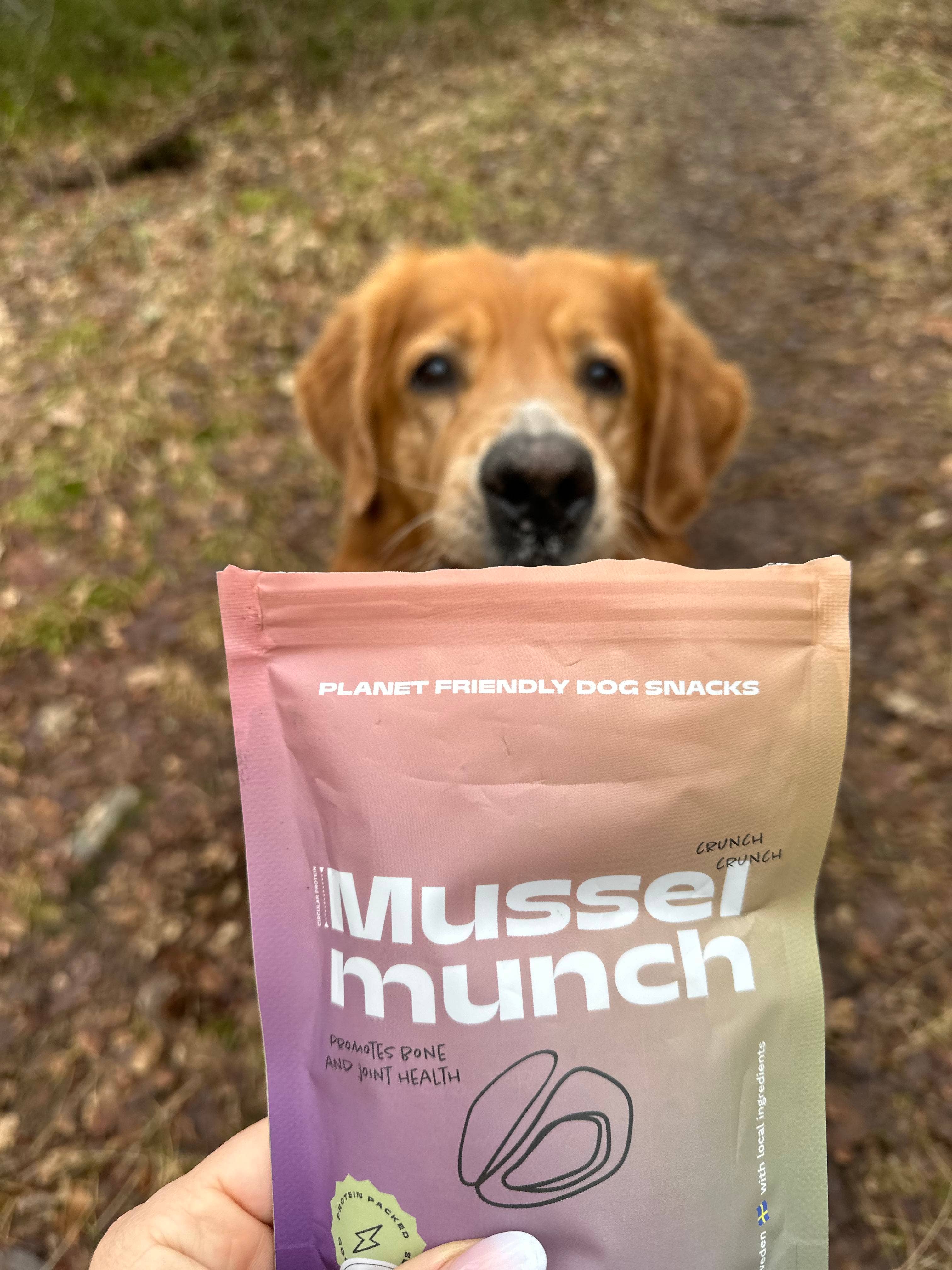 Glufs - Wholesale Pet Treats - Dog - Musselmunch6