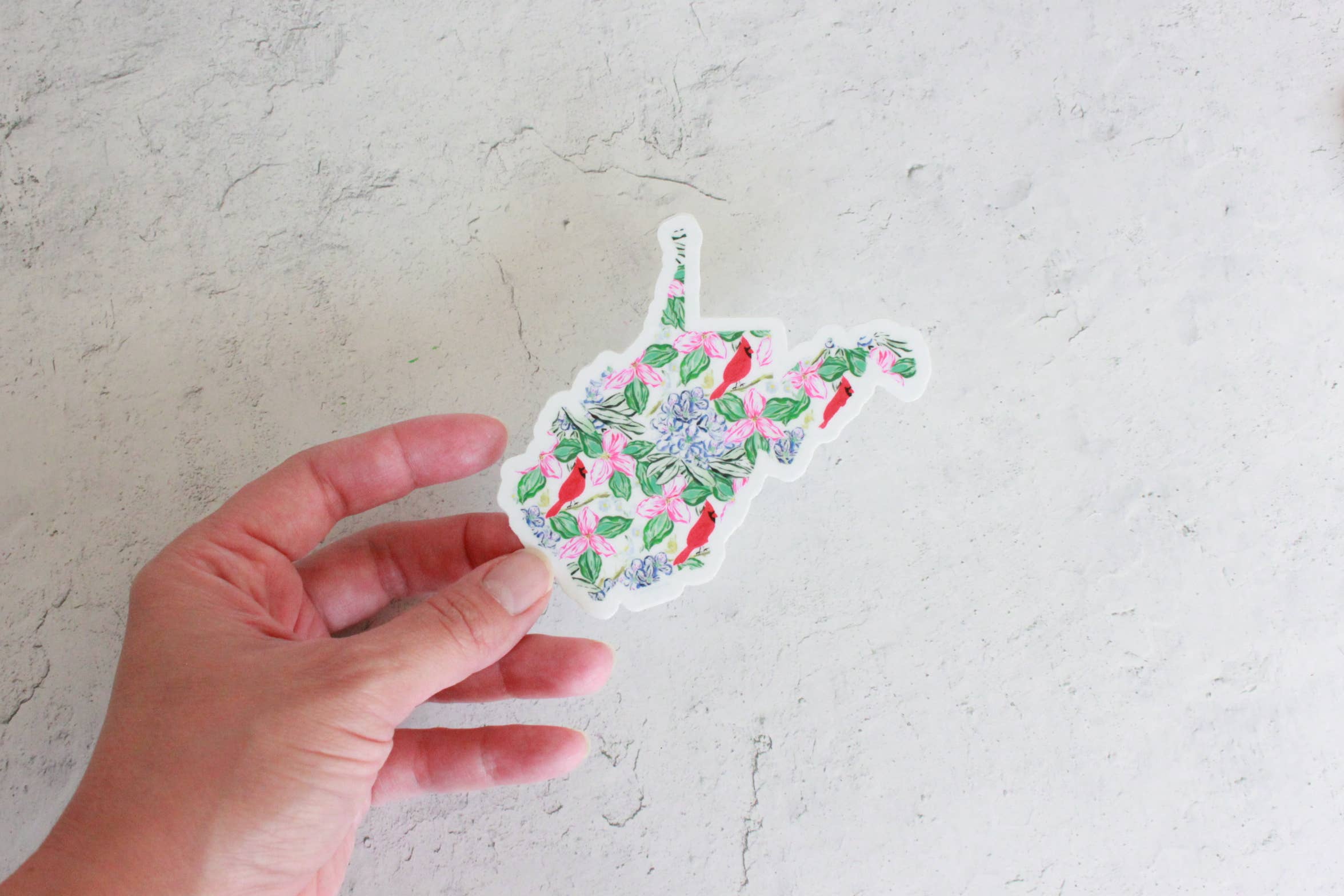 MARISAMADE - Wholesale Sticker - WV State Flower Sticker1