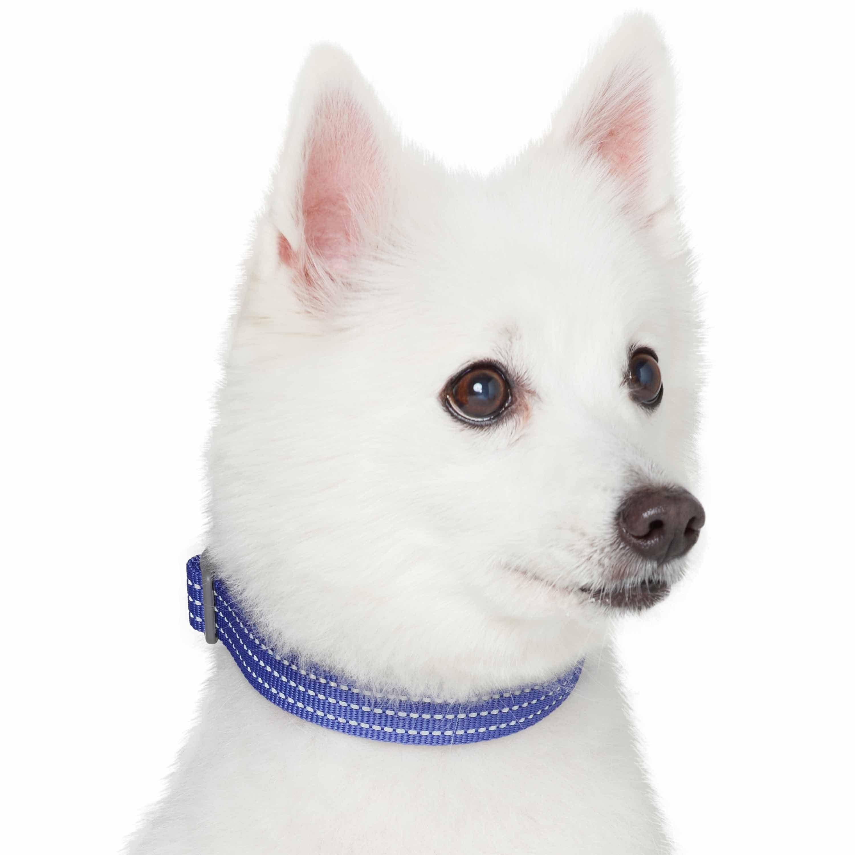 Blueberry Pet - Venta al por mayor Collar - Perros - Collar reflectante para perros Better Basic en 8 colores43