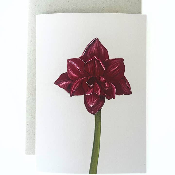 Greeting card 'Amaryllis' for wholesale by studio Pronckstuk