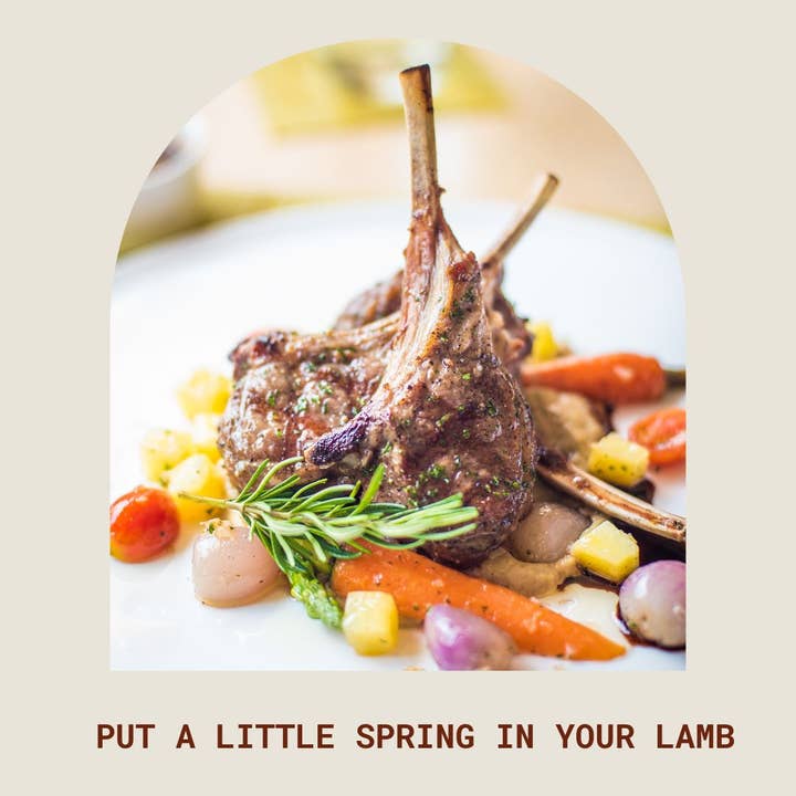 Broth of Life - Wholesale Rub - Herbaceous Lamb Meat Rub (organic)1