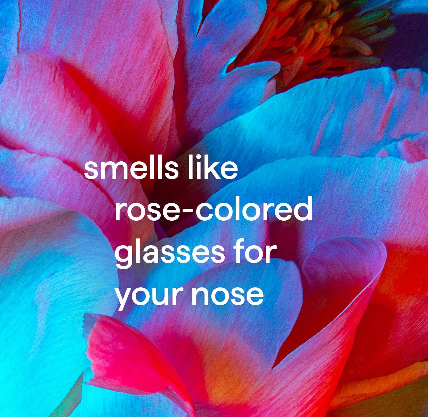 First Choice Buying – wholesale Duschtvål – Method Body paraben- och ftalatfri kroppstvål, Pure Peace, 532 ml3