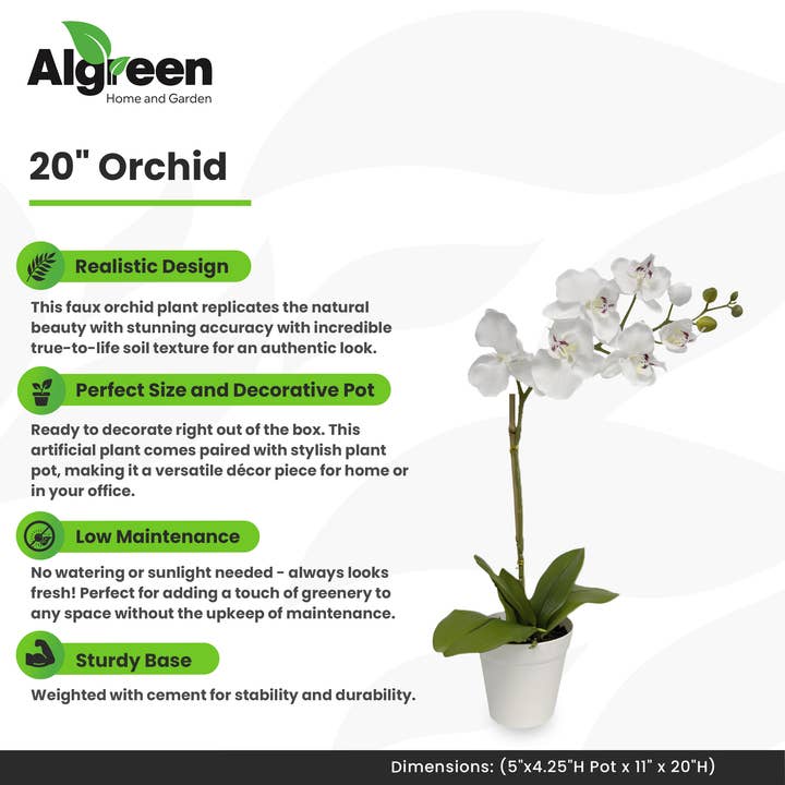 Algreen - Wholesale Artificial Plant - 20" Orchid White (5" Pot; 20"H)2