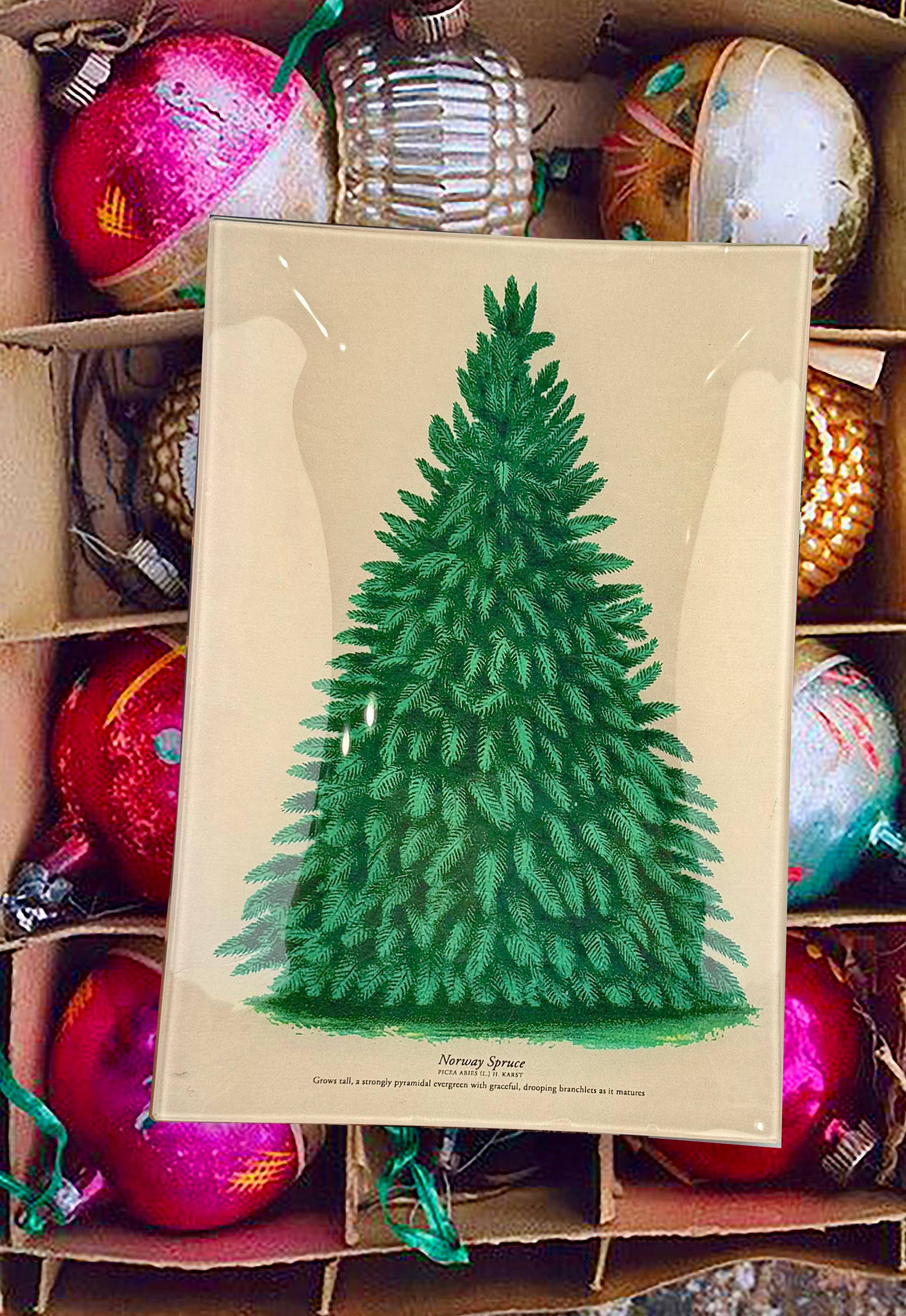 Ben's Garden - Wholesale Decoratief dienblad - Vintage Noorwegen Sparren Decoupage Dienblad1