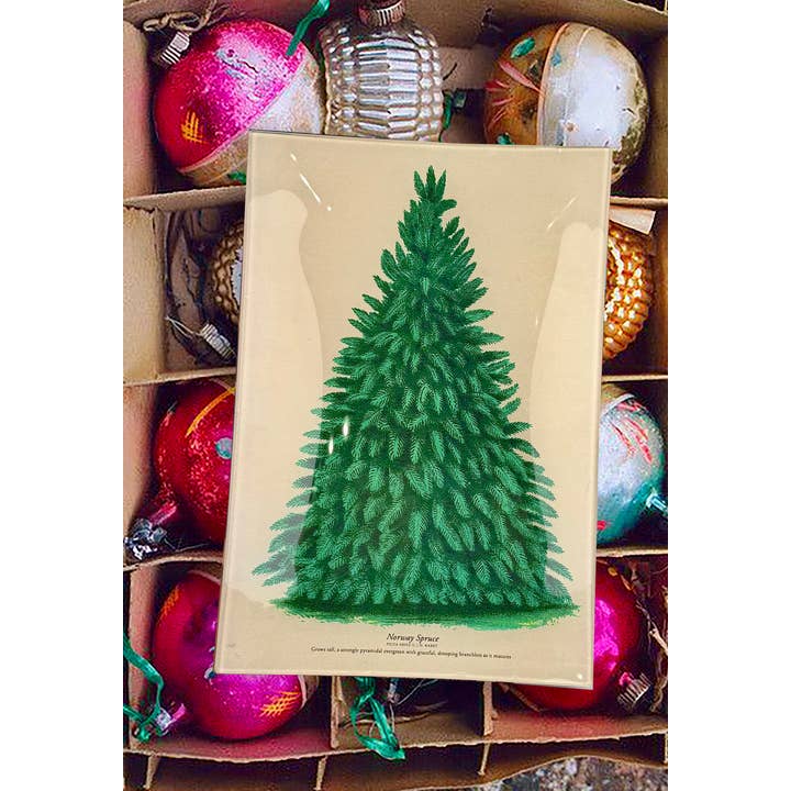 Ben's Garden – wholesale Decorative tray – Vintage Norway Spruce Decoupage Tray1