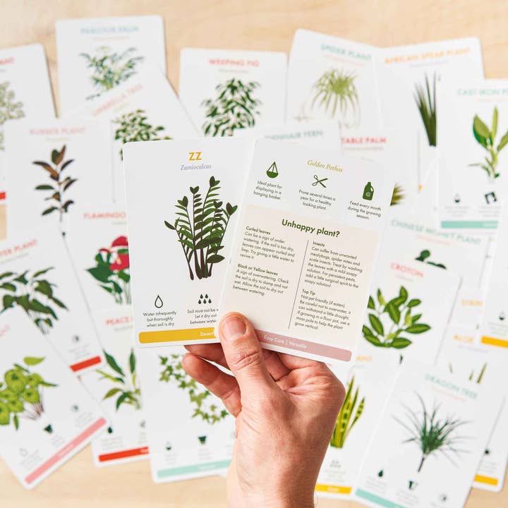 Another Studio - Wholesale Nature Guide - Houseplant Care Cards, botanical plant tips, care & advice