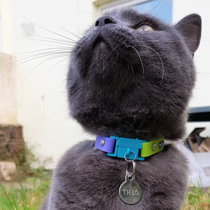 Kittyrama – wholesale Pet collar – Cat – Kittyrama Tahiti Cat Collar. Vet & Cat Expert Approved