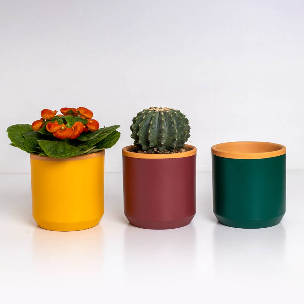 Resetea – wholesale Plant pot – Handcrafted Fern Green Planter🪴2