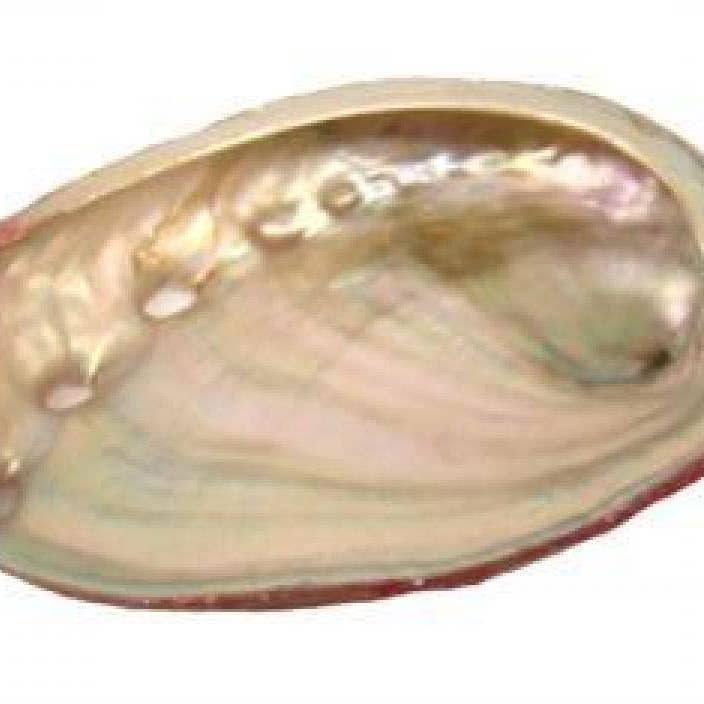 GREENROOTS USA LLC - Wholesale Incense Holder - Red Abalone Shell 2-3"L + (1 Pack)0