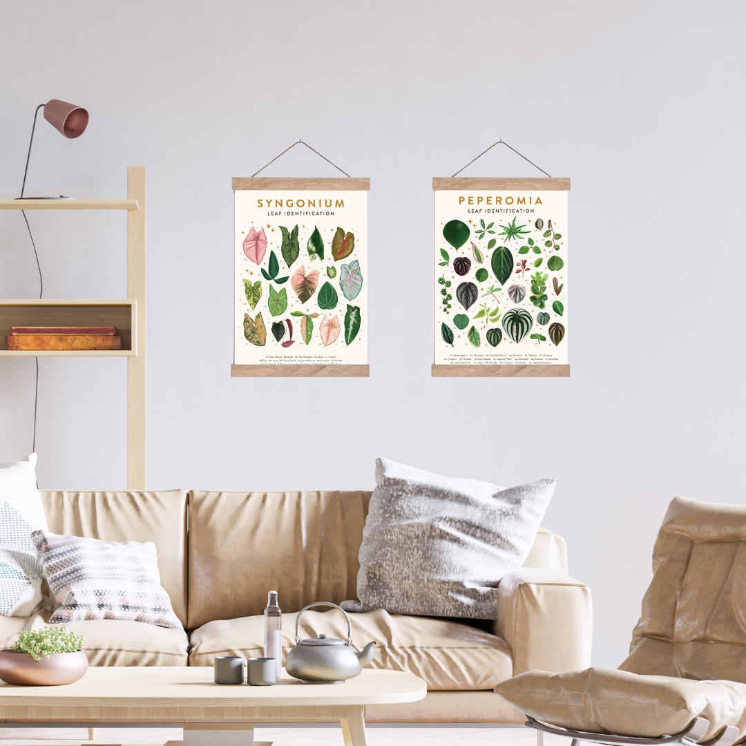 ReRoot - Vendita all'ingrosso Cornice portafoto - Appendi poster in legno1