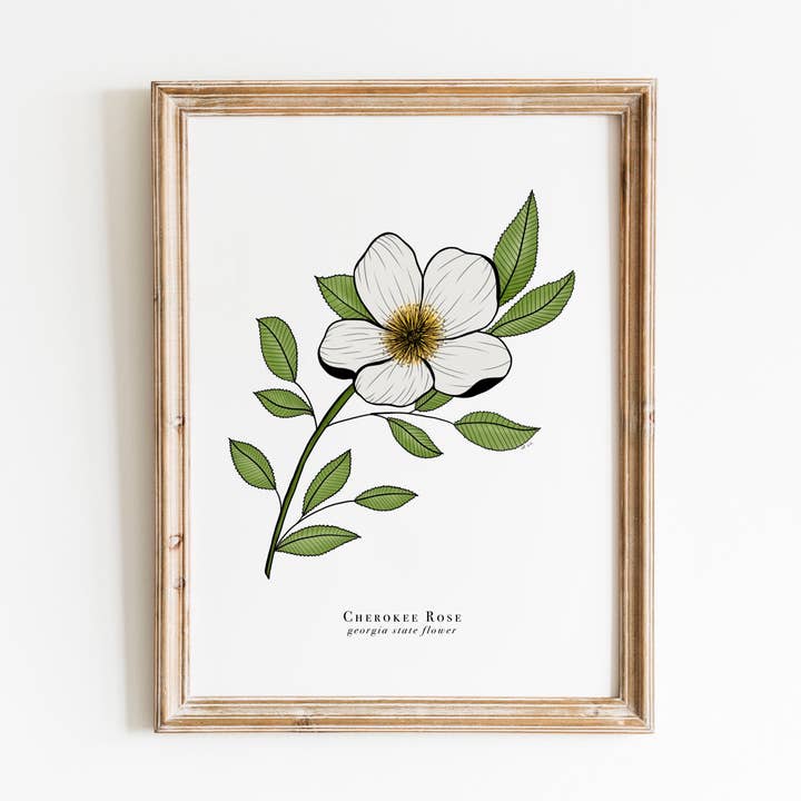 Georgia State Flower Print | Cherokee Rose Print for wholesale by Erika Layne Art
