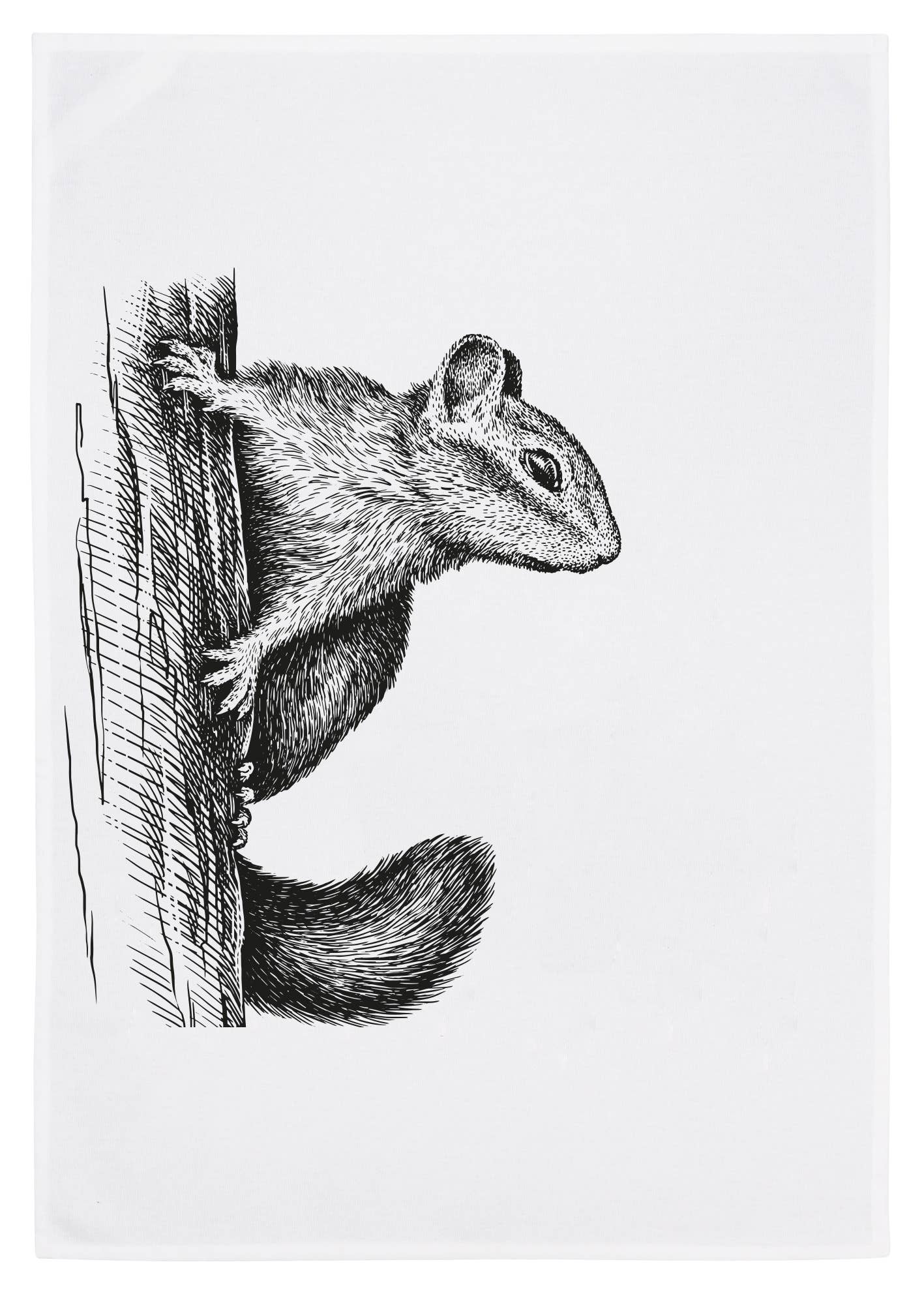 17;30 - Wholesale Tea Towel - white tea towel, squirrel