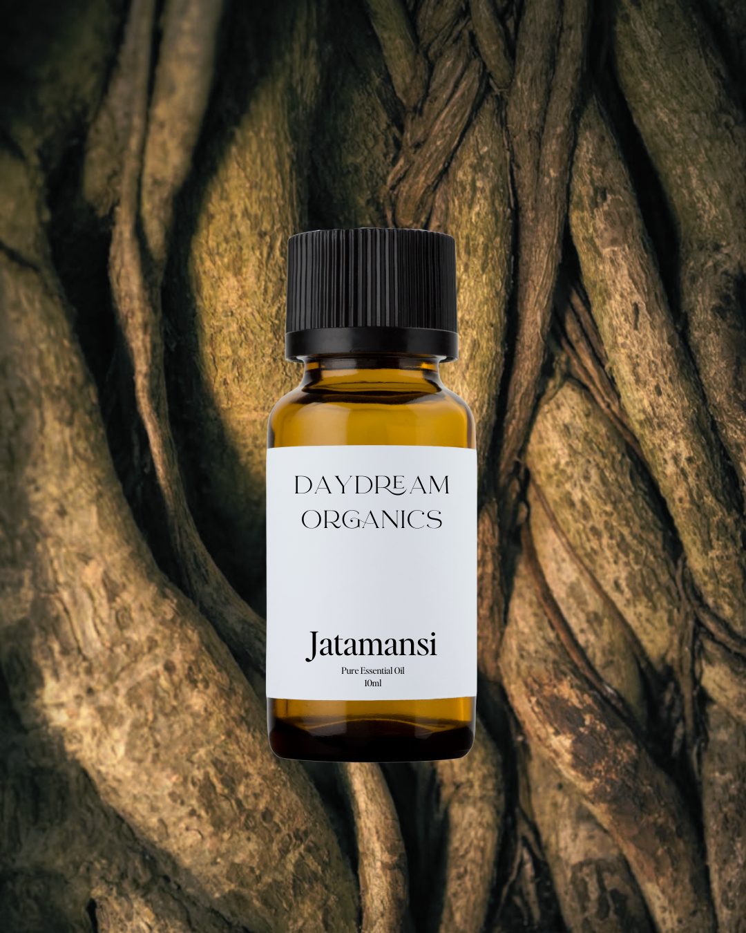 Daydream Organics | Prairie Doctor Brand - Wholesale Essential Oil - Jatamansi (Spikenard) Essential Oil0