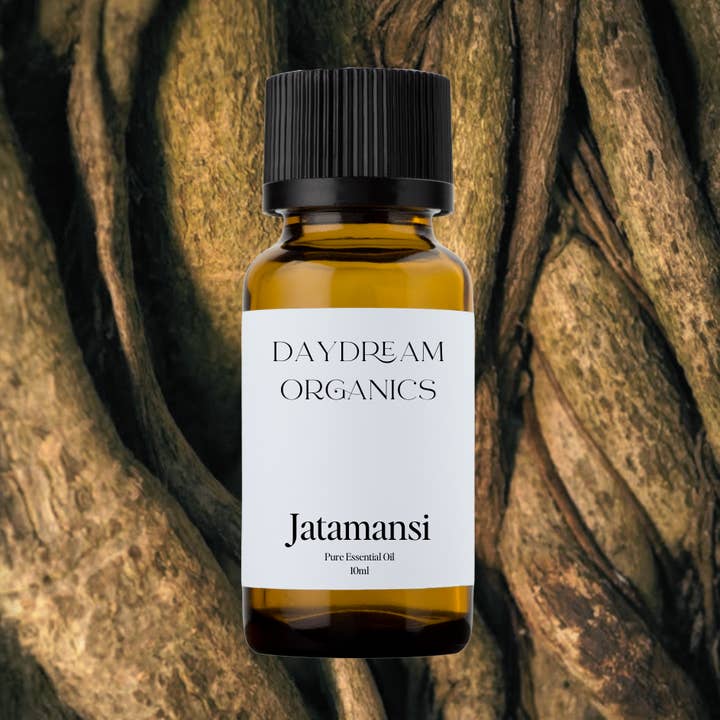 Daydream Organics | Prairie Doctor Brand - Wholesale Essential Oil - Jatamansi (Spikenard) Essential Oil0