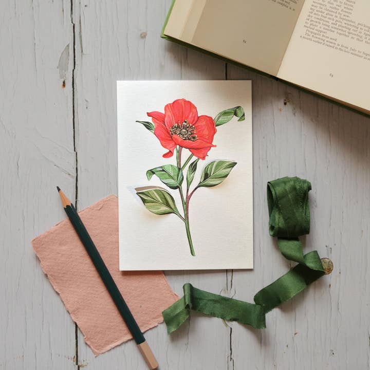 Poppy Pop Out Floral Watercolour Greetings Card for wholesale by Sophie Brabbins