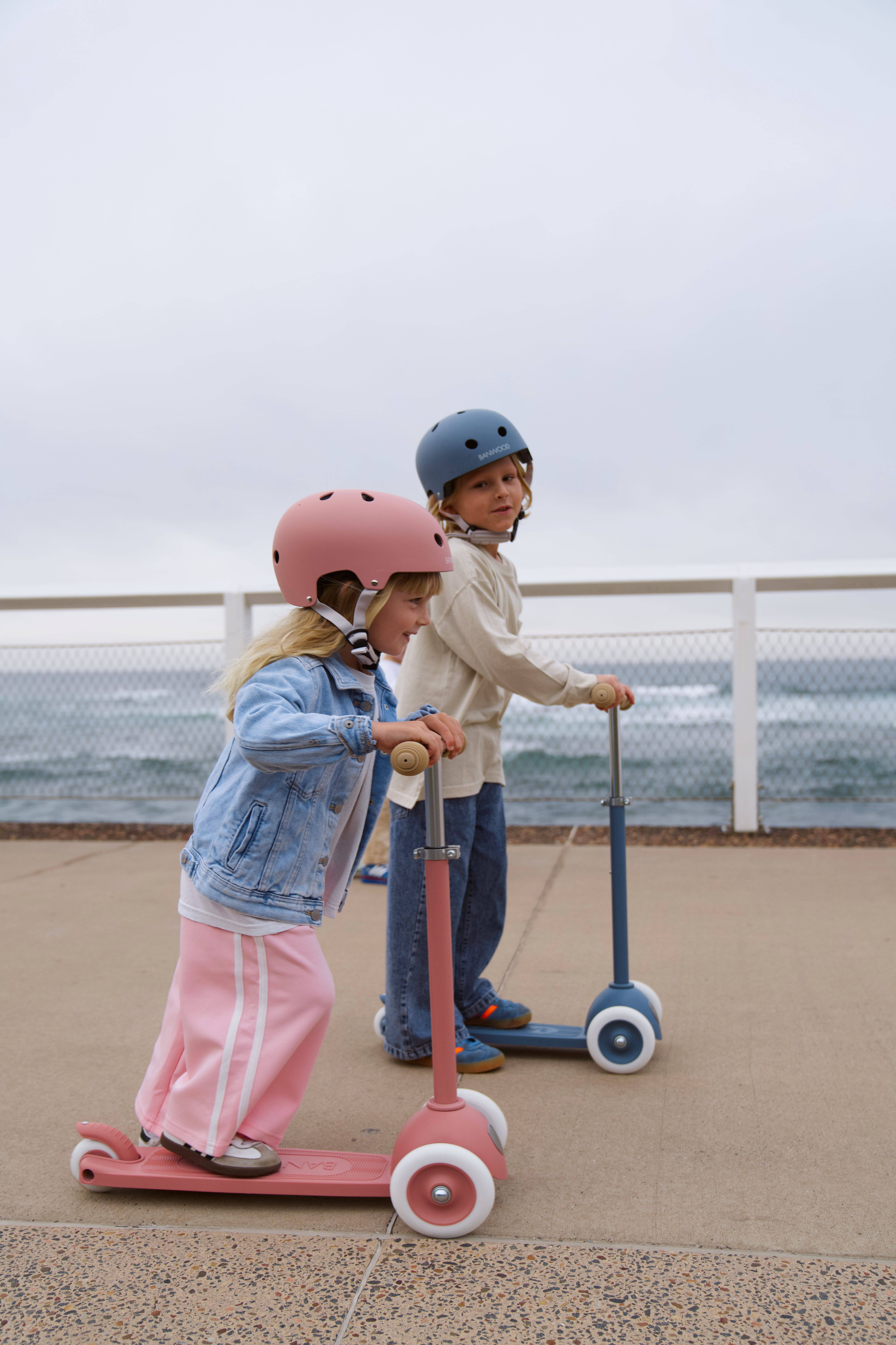 Banwood SL Europe - Vendita all'ingrosso Bicicletta/monopattino - Monopattino Eco Banwood - Lamponi5