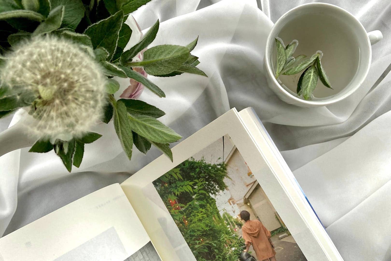 viteamins - Wholesale Health/Detox Tea - 05 Super Detox con Diente de León1