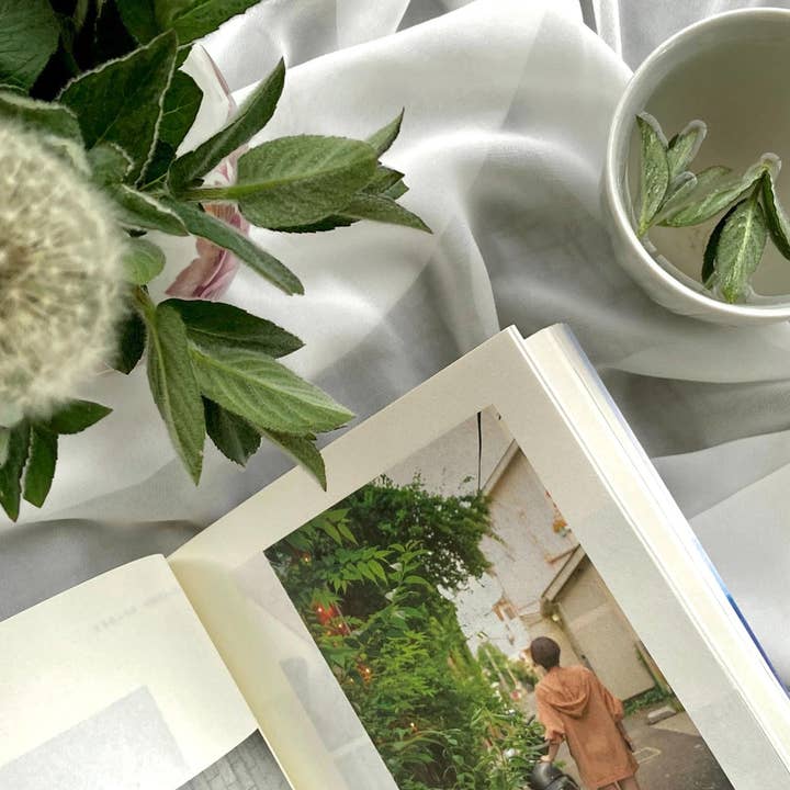 viteamins - Wholesale Health/Detox Tea - 05 Super Detox con Diente de León1