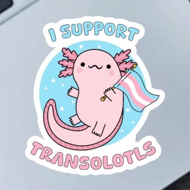 I Support Transolotls Axolotl 2.5" Vinyl Sticker for wholesale by Fable and Flame Co.