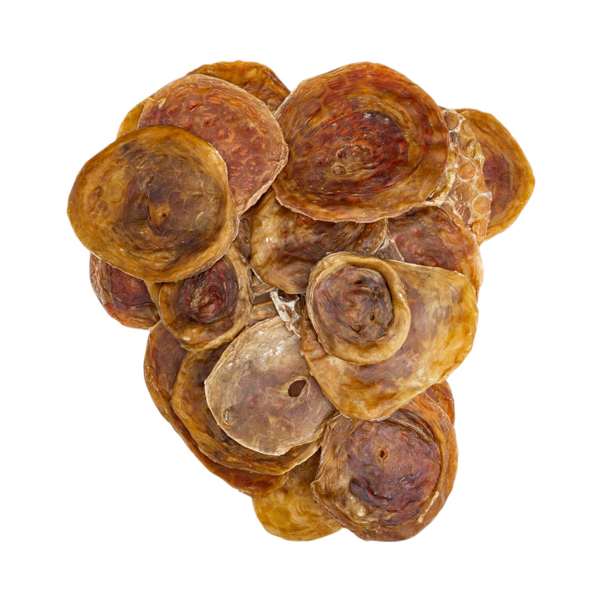 Jojo Modern Pets – Großhandel Leckerlis – Hund – Naturbelassene 3”-4” Rindfleischblasen-Scheiben Hundesnacks (25/Beutel)