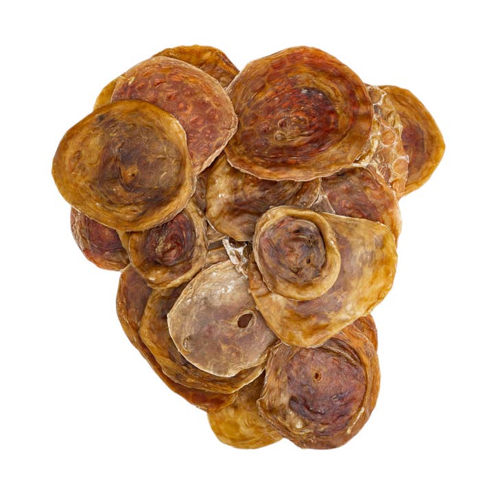 Jojo Modern Pets - Wholesale Pet Treats - Dog - All-Natural 3”-4” Beef Bladder Disc Dog Treats (25/Bag)0