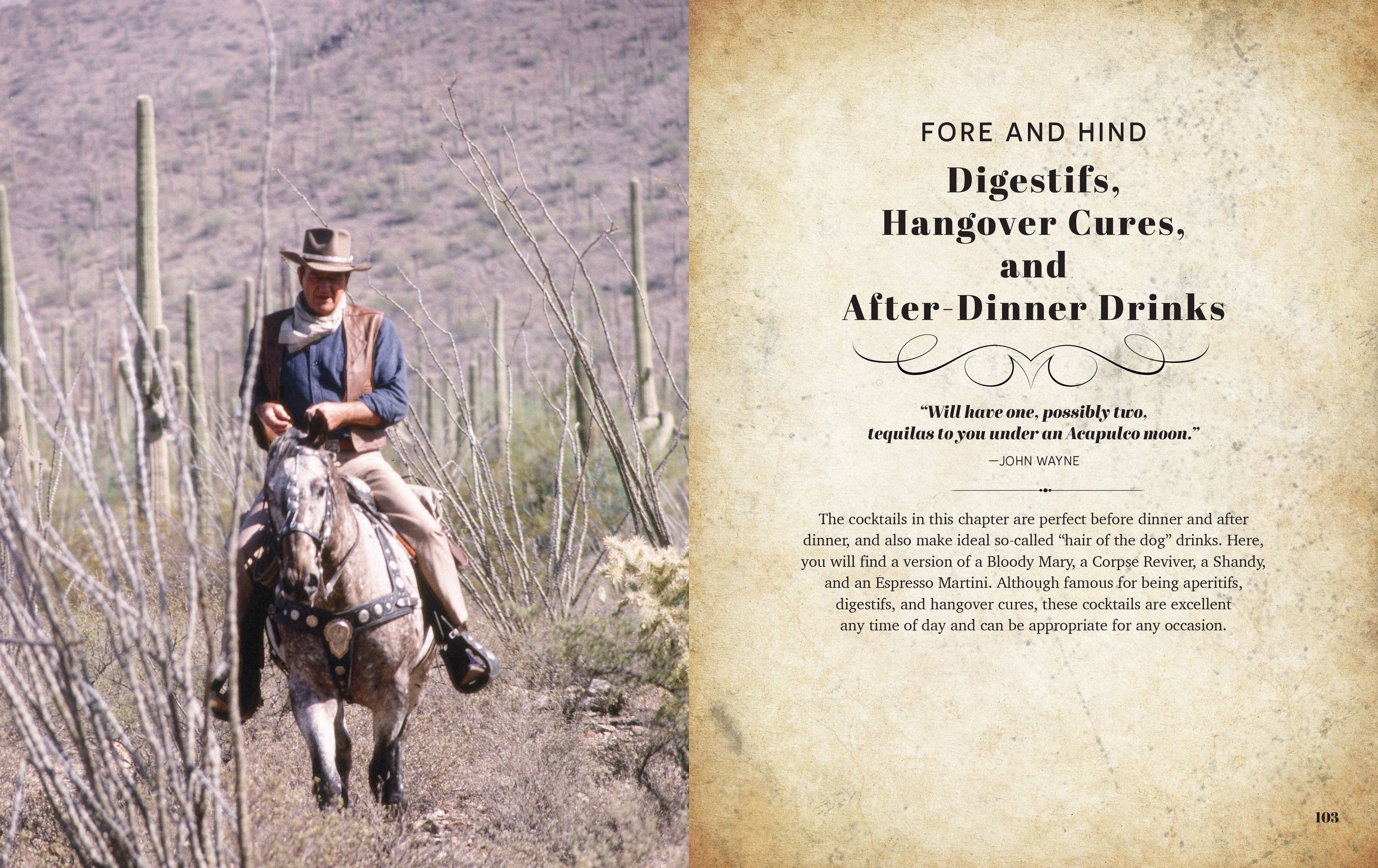 Insight Editions - #1 Pop Culture Publisher - Wholesale Mixology & Beverage Book - John Wayne: The Official Cocktail Book Gift Set5