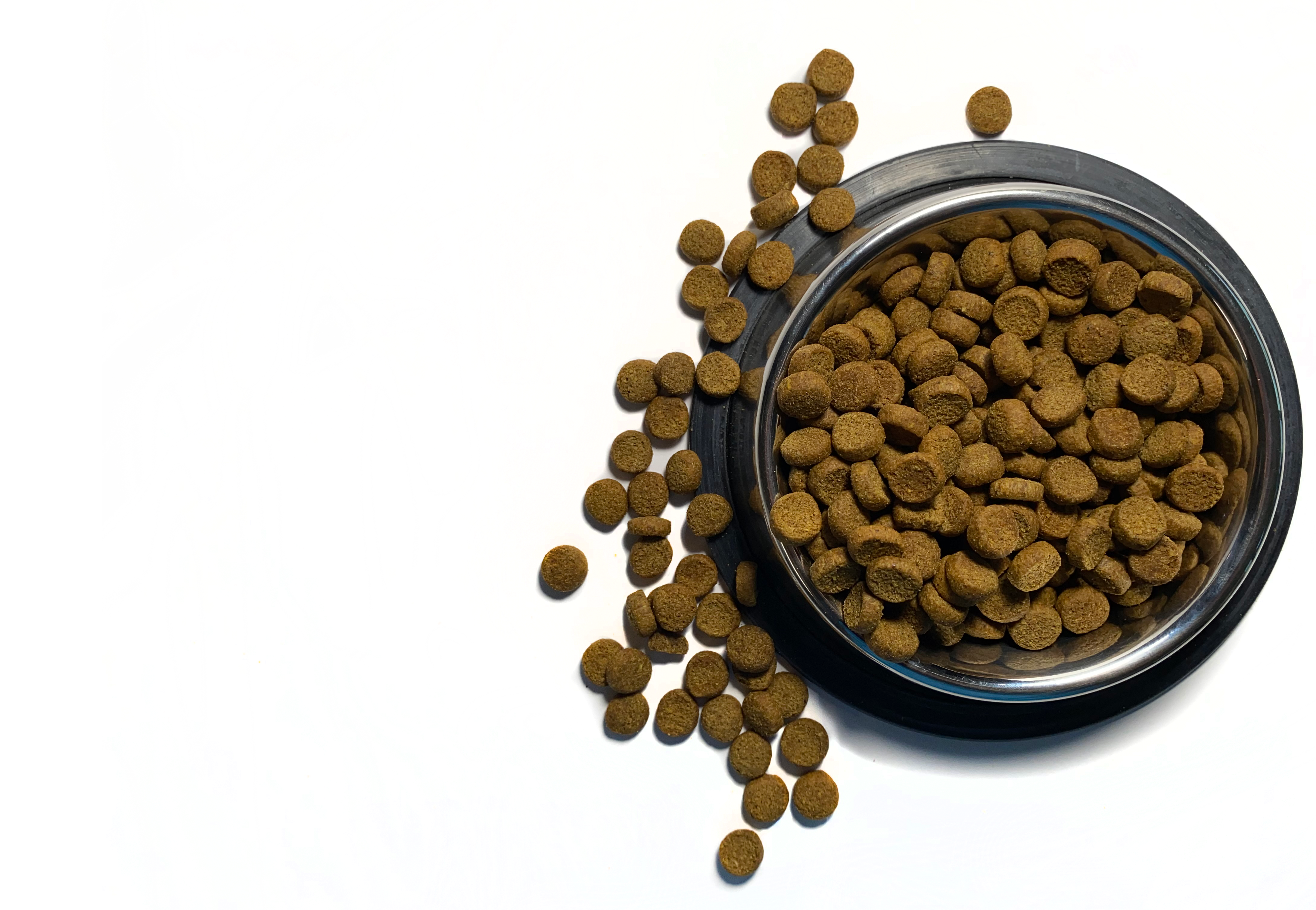 Canine Caviar - Wholesale Pet Food - Dog - Wild Ocean Limited Ingredient Alkaline® Entrée All Life 22lb5