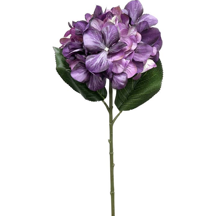 Angel Isabella - Venta al por mayor Flores artificiales - Hortensia artificial de 22 pulgadas, flor de 7 pulgadas