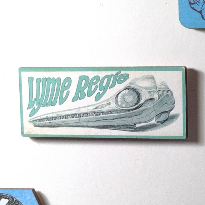 Imán de madera con forma de ictiosaurio, personalizable, fabricado en Devon para venta al por mayor de Devon Fox