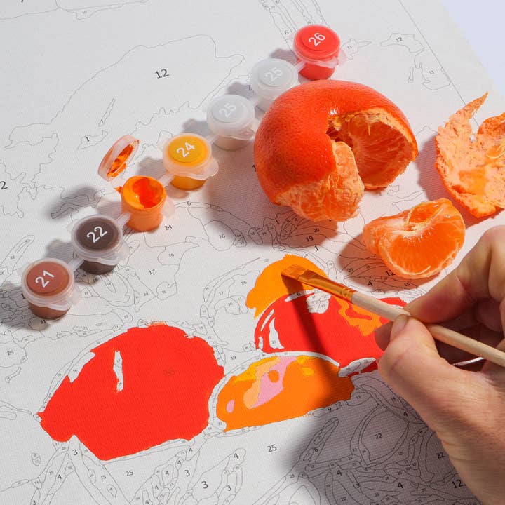 Journey Of Something AU & EU - Wholesale DIY craft kit - Paint by Numbers - Bowl of Oranges6