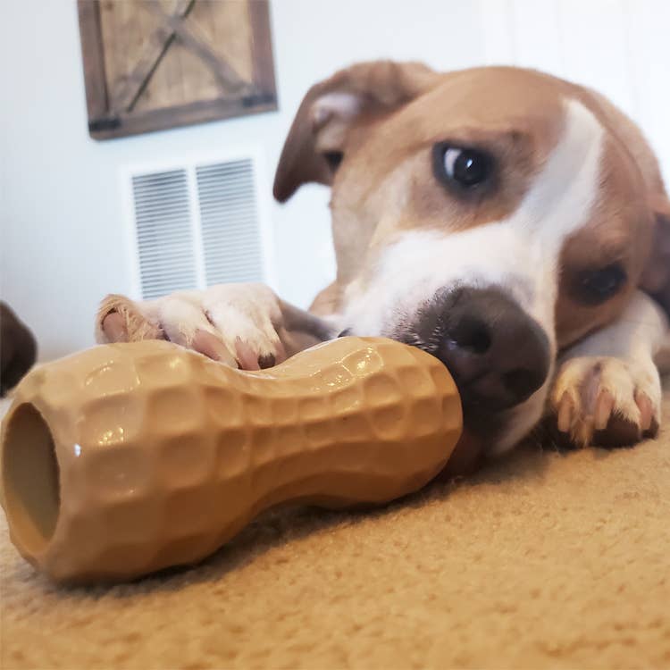 Poochie Butter - Wholesale Pet Chew Toy - Dog - Medium Peanut Dog Enrichment Toy & Feeder6