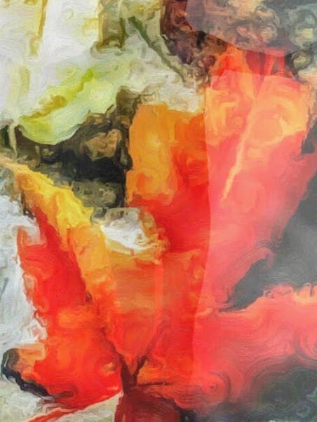 Bufanda/pareo de chifón «Falling for You» para venta al por mayor de Lady Barbara Pinson Artist