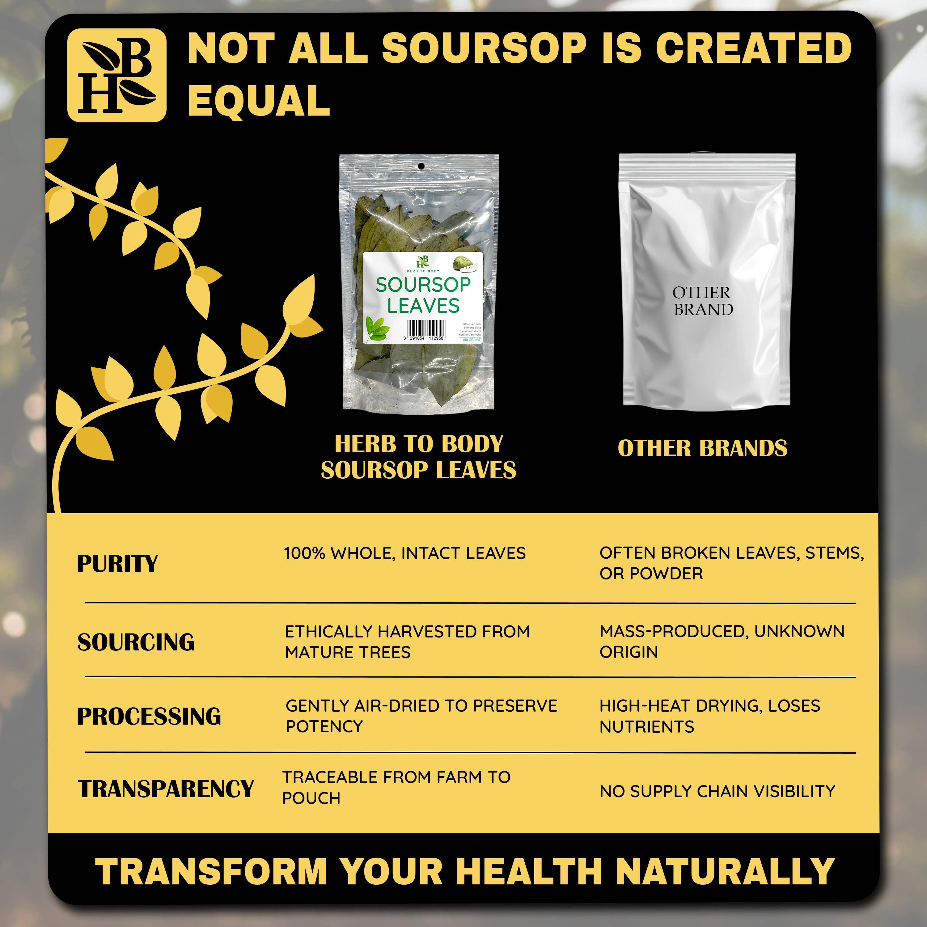 Herb To Body - Wholesale Loose Tea - Organic Soursop Leaves 50g - Dried Leaf | Hoja De Guanabana2