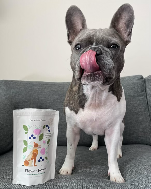 Botanical Bones - Vente Friandises – chien - Flower Power Biscuits naturels et biologiques pour chiens8