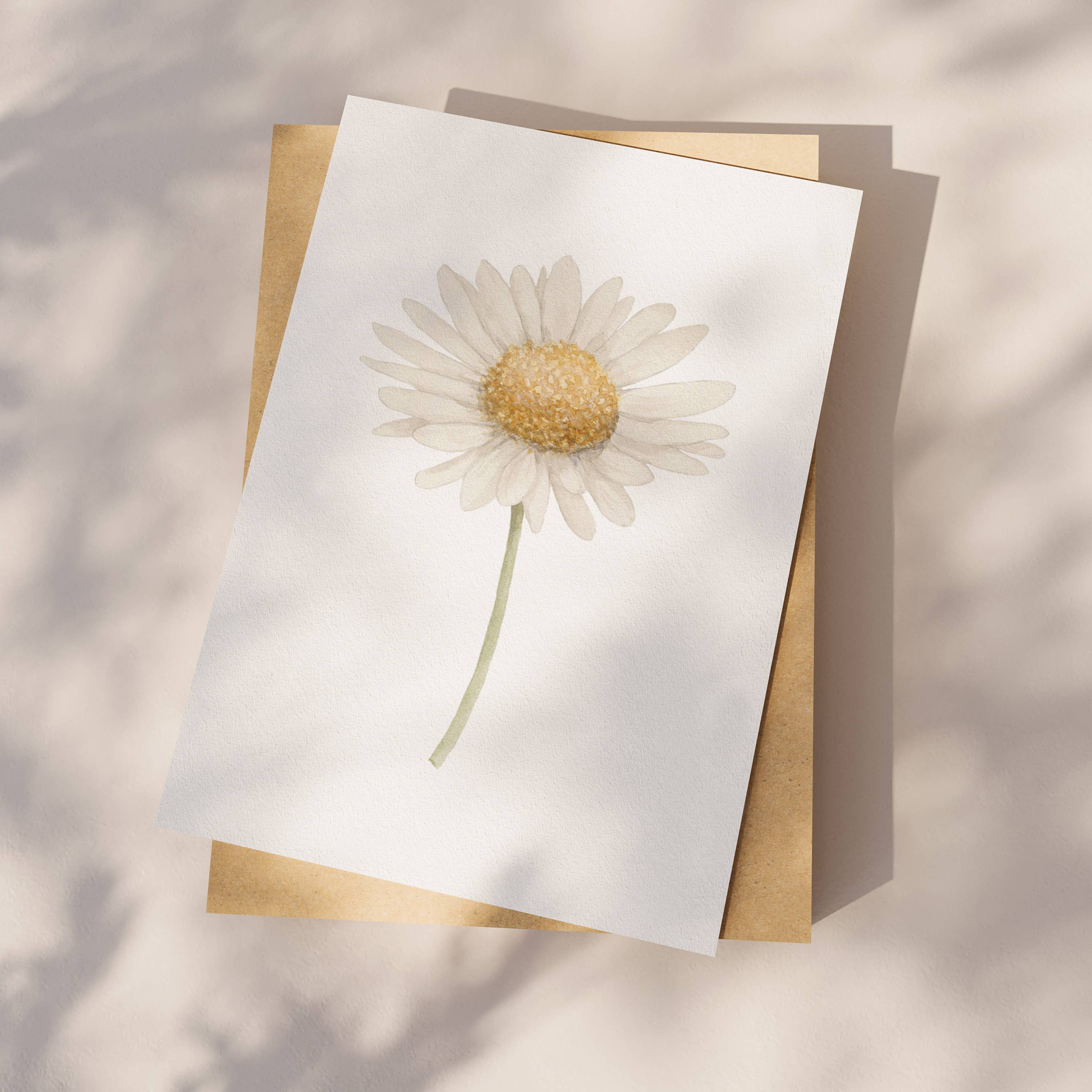 Appeloogje - Wholesale Gewone wenskaart - Ansichtkaart margrietje1