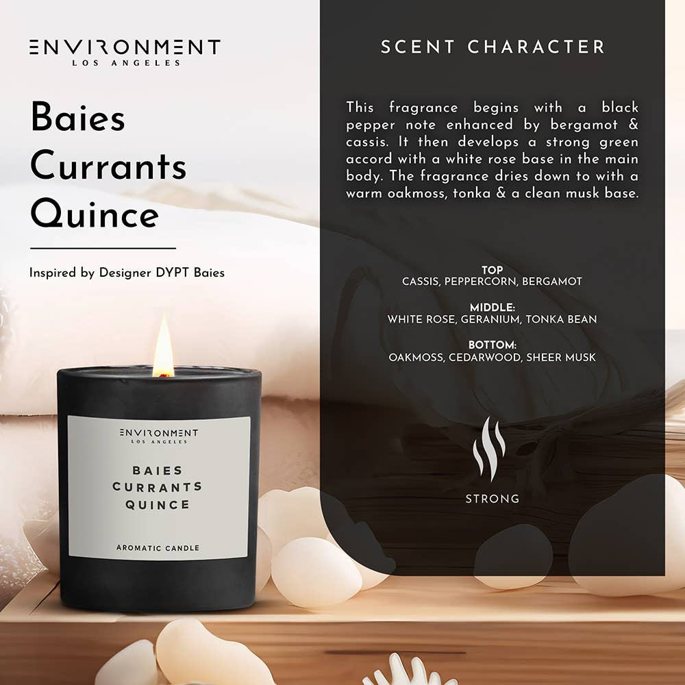 ENVIRONMENT – wholesale Jar/filled candle – 8oz Inspired by Diptyque® Candle with Lid and Box Baies | Cu4