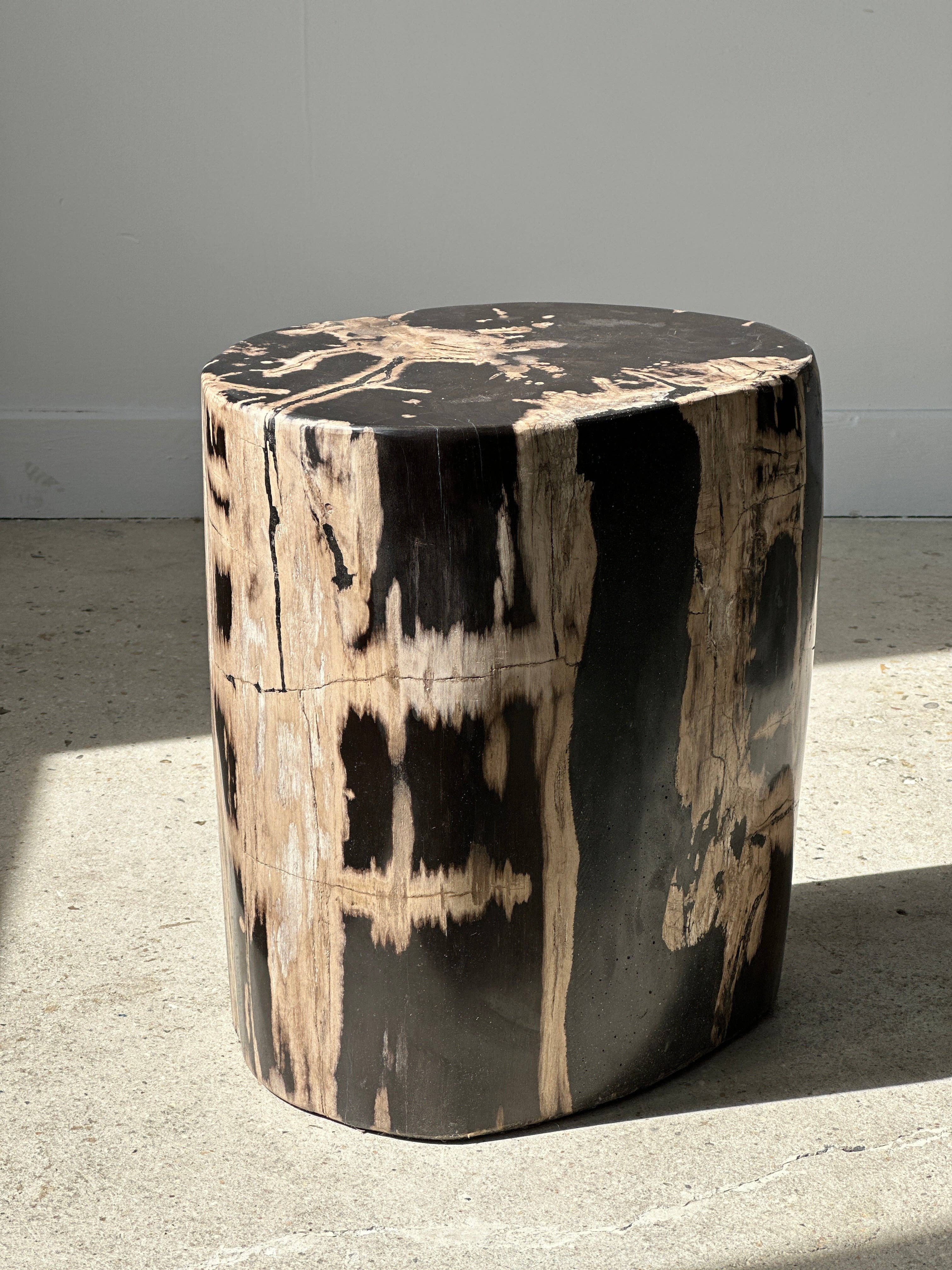 Office Objets - Vente Tables d'appoint - Table d'appoint en bois pétrifié41