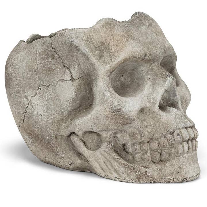 Extra Large Skull Planter-10"L for wholesale by Abbott