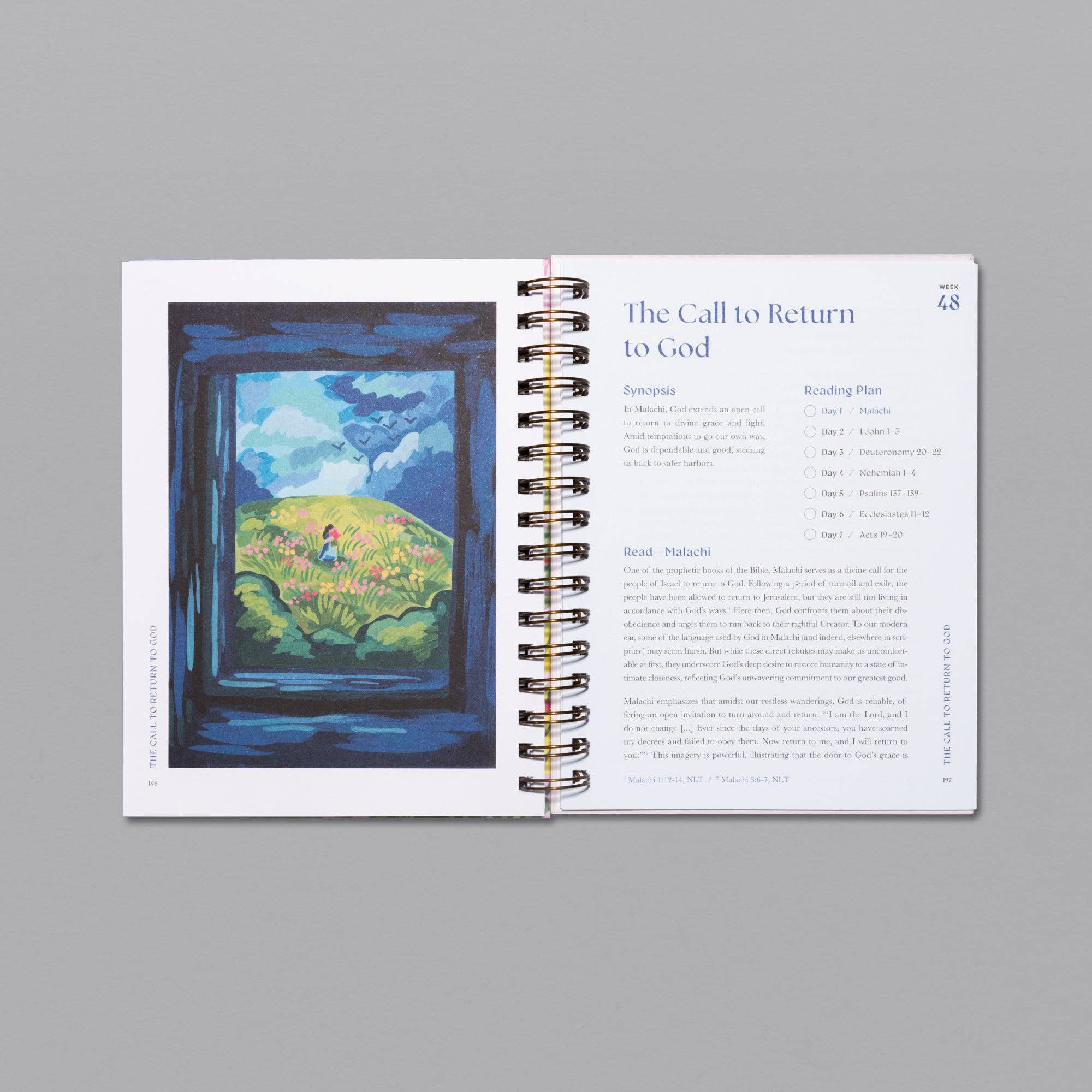 Alabaster Co - Wholesale Religion Book - A Beautiful Year in the Bible: The 52-Week Bible Study for Women12