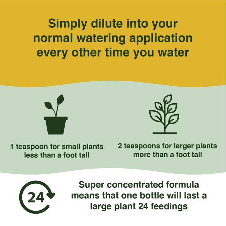 Farmer's Secret - Wholesale Fertilizer - Anthurium Plant Food 8oz4