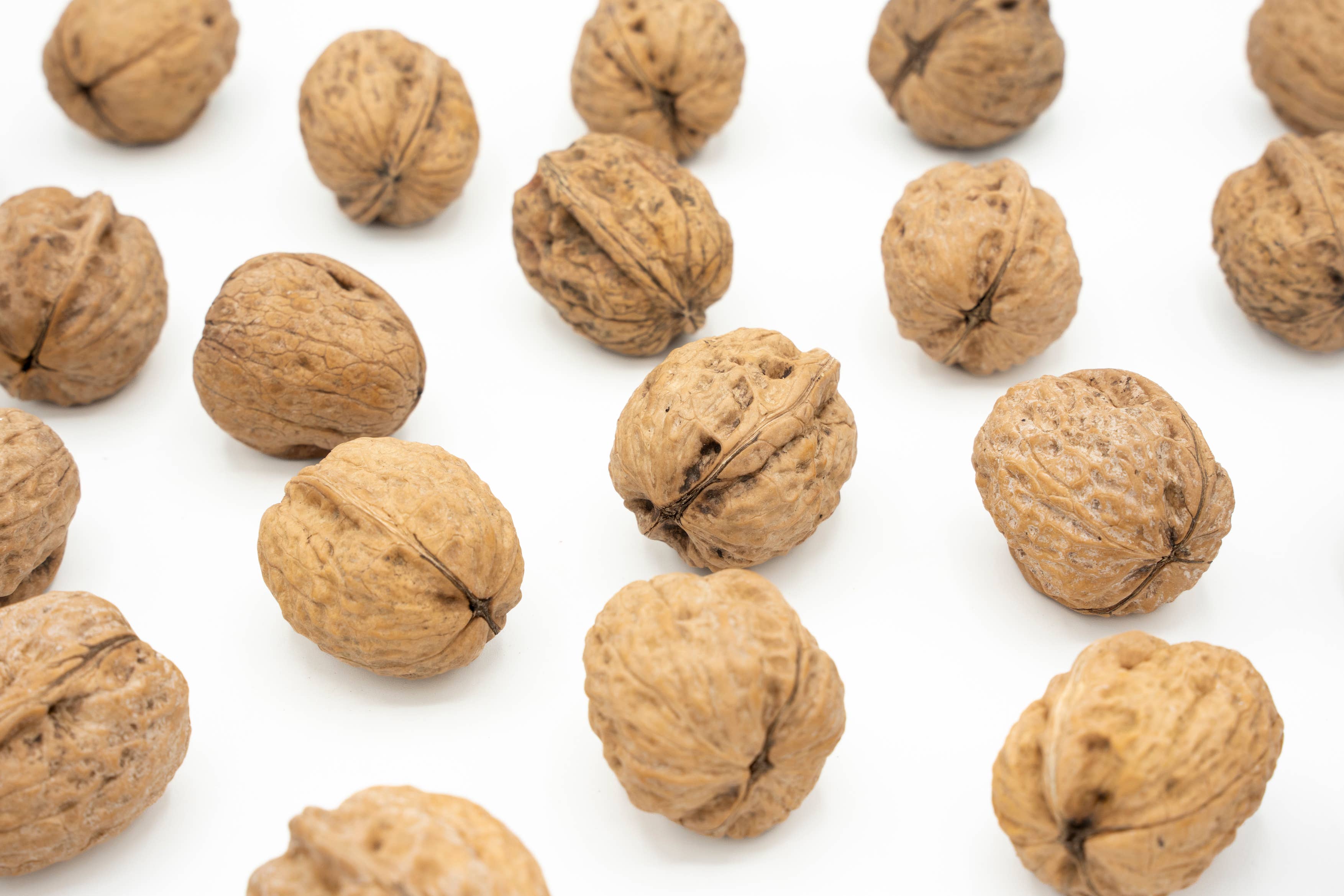 Agnellini Int Srl - Wholesale Nuts - 100% natural walnuts in shell 500g, new crop2