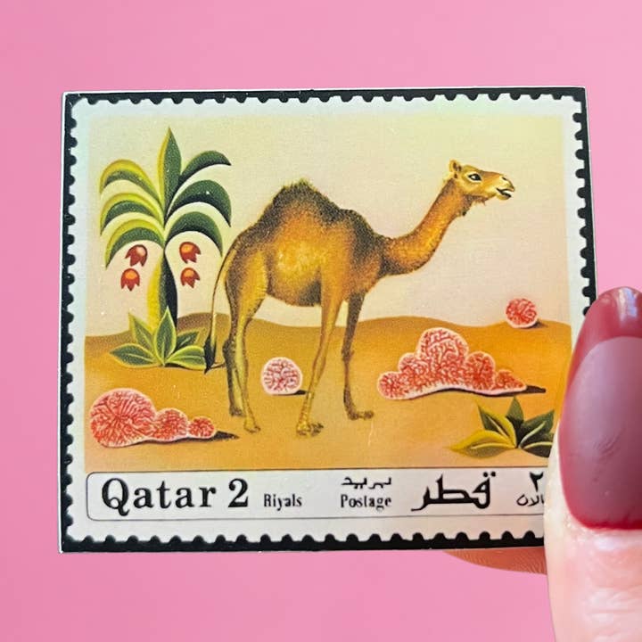 Camel, Qatar 1971 for wholesale by rahaal