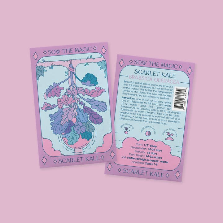 Sow the Magic - Wholesale Zaadjes voor platten - Scarlet Kale Tarot Zaadpakket4