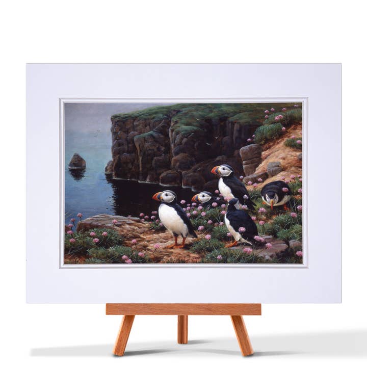 Puffins On Cliff Edge Fine Art Prints for wholesale by Julian Friers Wildlife Art & Gifts