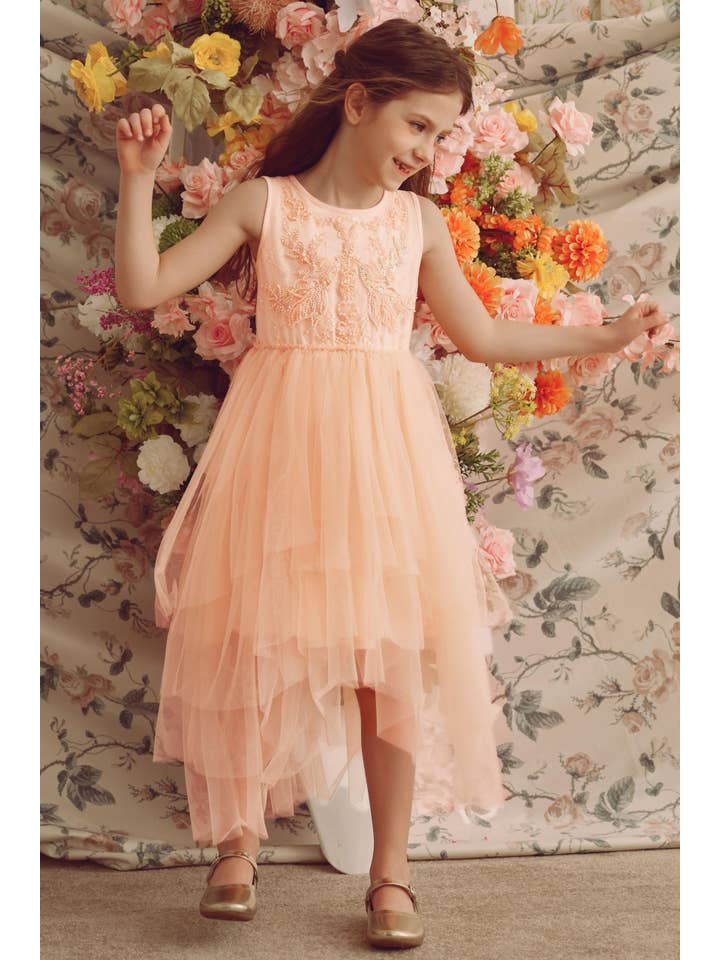 Soft Peach Whimsical Layered Tulle Toddler Dress for wholesale on Faire1