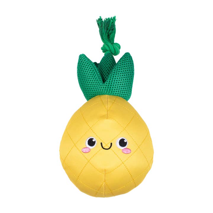 THE WATER IS JUST JUST PINE FLOATING DOG TOY for wholesale by Petshop by Fringe Studio