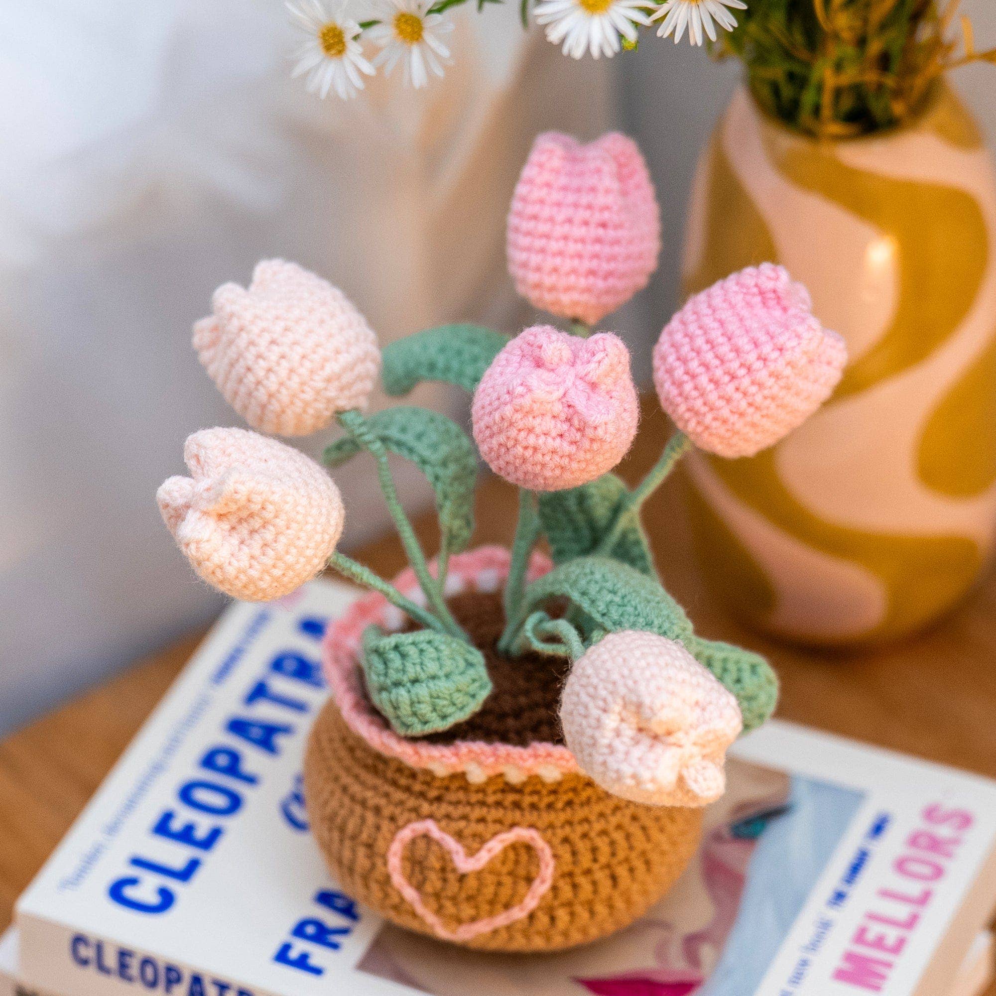 Craft Club - Wholesale DIY Craft Kit - Tulip Pot - Crochet Pot Plant Kit1