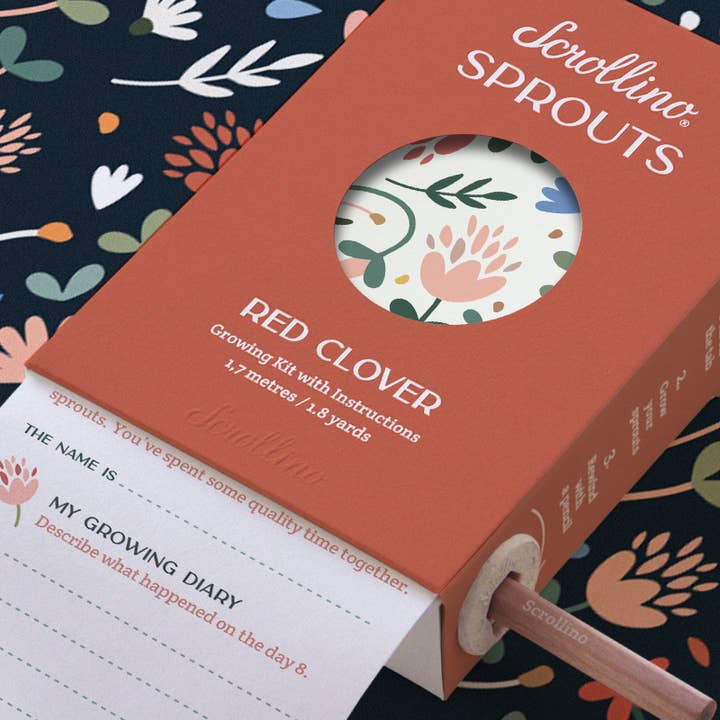 Scrollino - Wholesale DIY Craft Kit - Kids - Activity & Growing Kit - Scrollino Red Clover Sprouts5