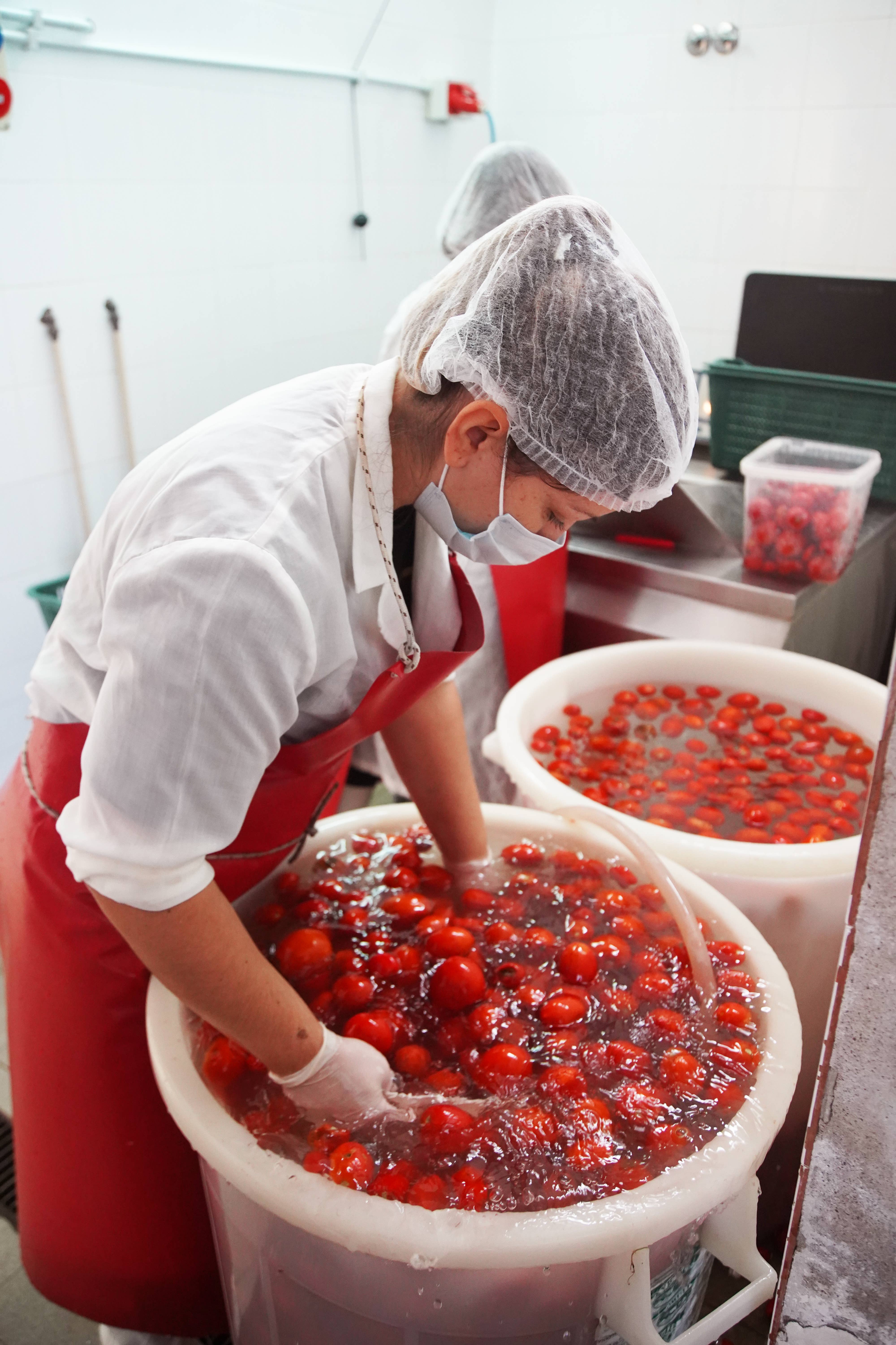 TUDIA Antiche Ricette di Sicilia - Wholesale Pasta Sauce - BOTTLED SAUCE1