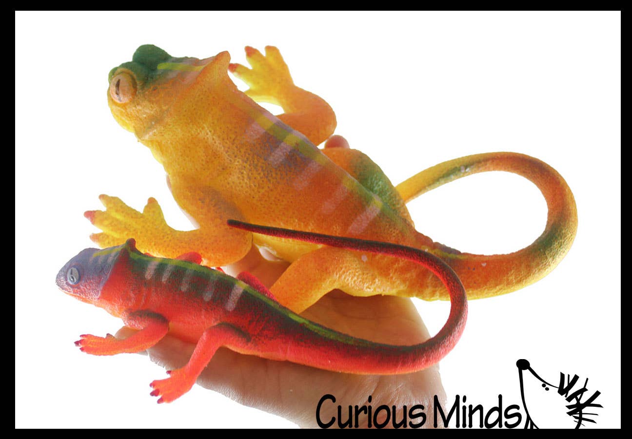 Curious Minds Toys - Vente Fidget/jouet anti-stress – enfant - 1 jumbo : faites pousser un lézard dans l'eau. Ajoutez de l'eau et il grandit14